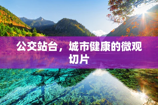 公交站台，城市健康的微观切片