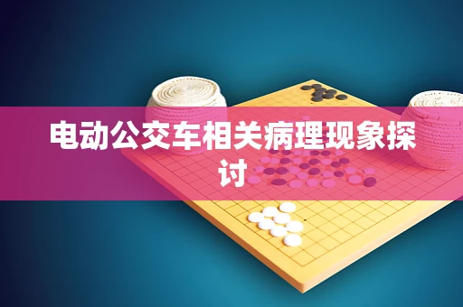 电动公交车相关病理现象探讨