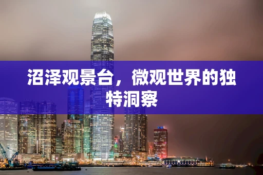 沼泽观景台，微观世界的独特洞察