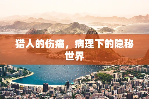 猎人的伤痛，病理下的隐秘世界