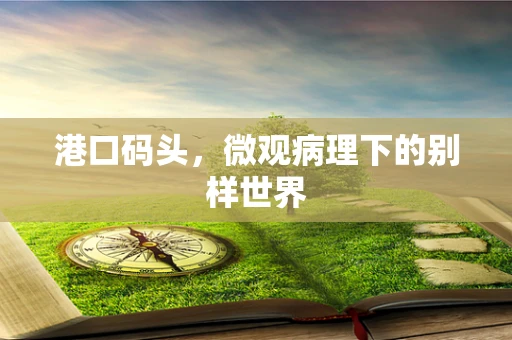 港口码头，微观病理下的别样世界