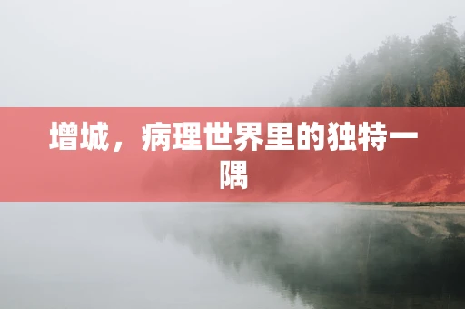 增城，病理世界里的独特一隅