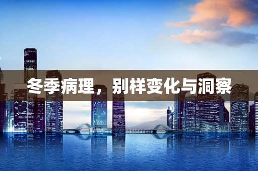 冬季病理，别样变化与洞察