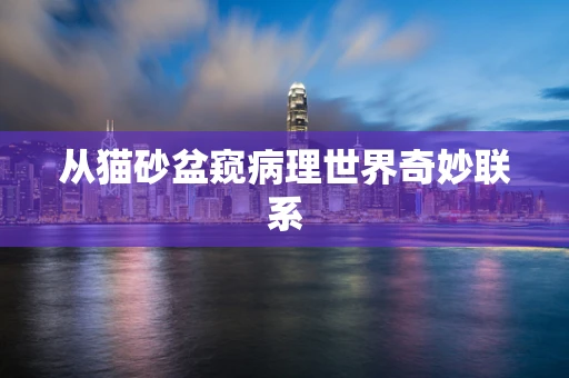 从猫砂盆窥病理世界奇妙联系