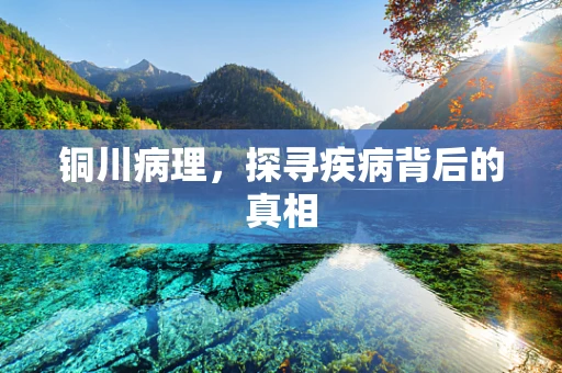 铜川病理，探寻疾病背后的真相