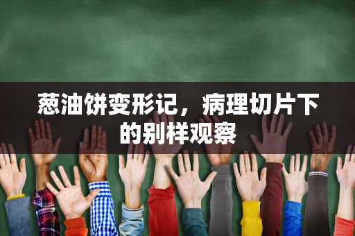 葱油饼变形记，病理切片下的别样观察