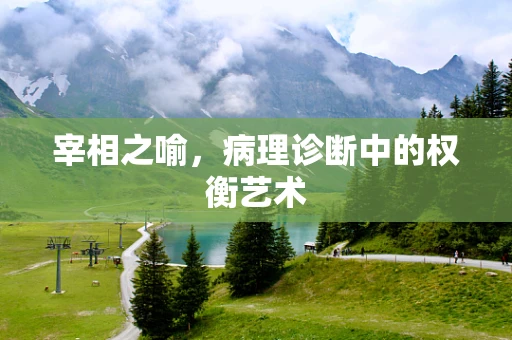 宰相之喻，病理诊断中的权衡艺术