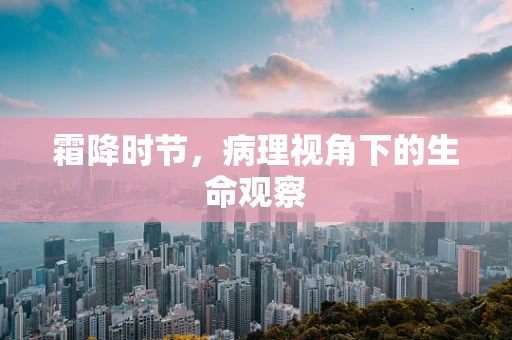霜降时节，病理视角下的生命观察