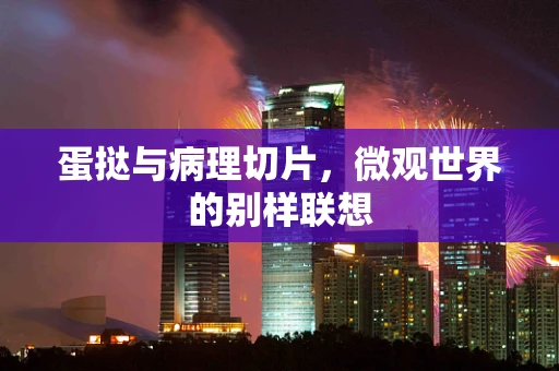 蛋挞与病理切片，微观世界的别样联想