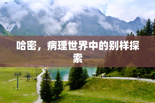 哈密，病理世界中的别样探索
