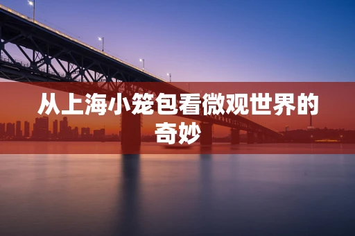 从上海小笼包看微观世界的奇妙