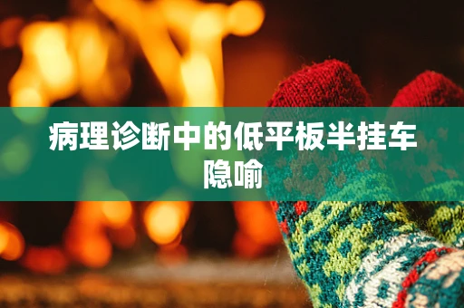 病理诊断中的低平板半挂车隐喻