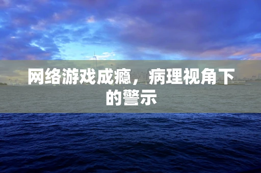 网络游戏成瘾，病理视角下的警示