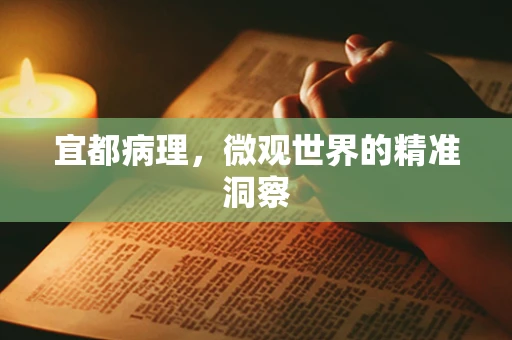 宜都病理，微观世界的精准洞察