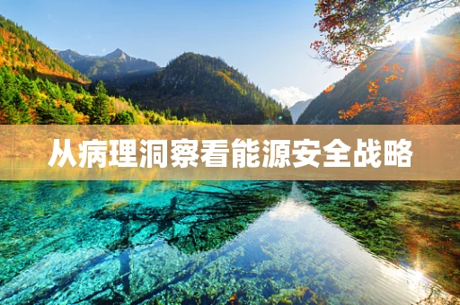 从病理洞察看能源安全战略