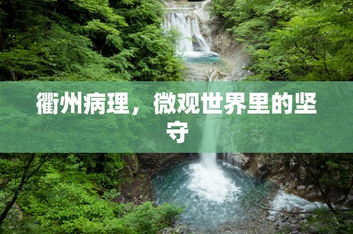 衢州病理，微观世界里的坚守