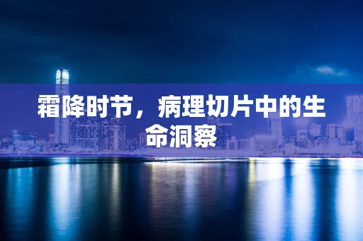 霜降时节，病理切片中的生命洞察