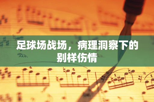 足球场战场，病理洞察下的别样伤情