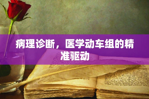 病理诊断，医学动车组的精准驱动
