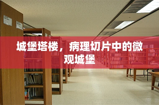 城堡塔楼，病理切片中的微观城堡