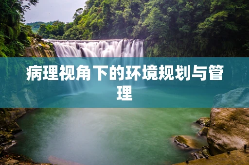 病理视角下的环境规划与管理