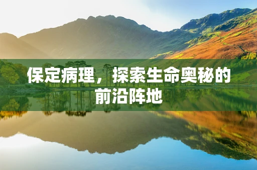 保定病理，探索生命奥秘的前沿阵地