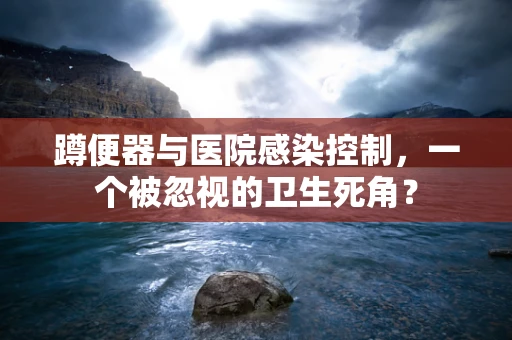 蹲便器与医院感染控制，一个被忽视的卫生死角？
