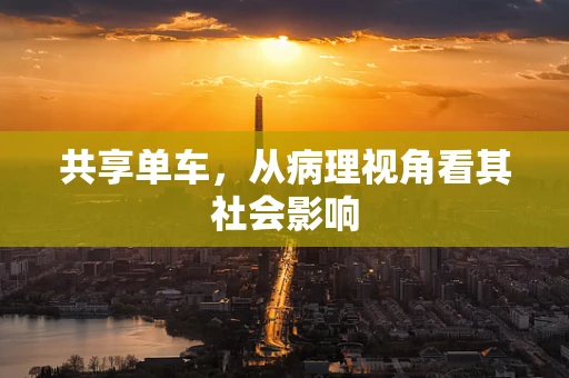 共享单车，从病理视角看其社会影响
