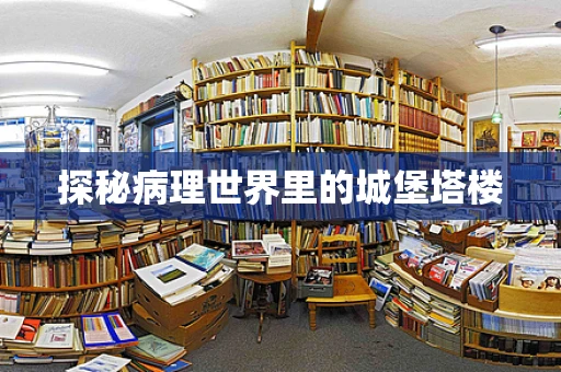 探秘病理世界里的城堡塔楼